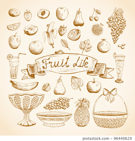 Sketches of juicy fresh fruits 96440629