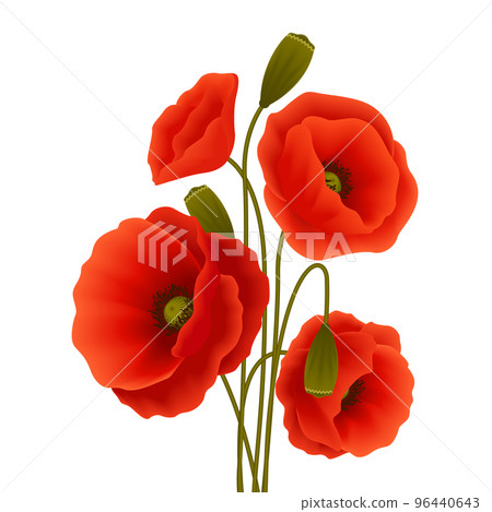 Poppy flower poster Poppy flower poster 96440643
