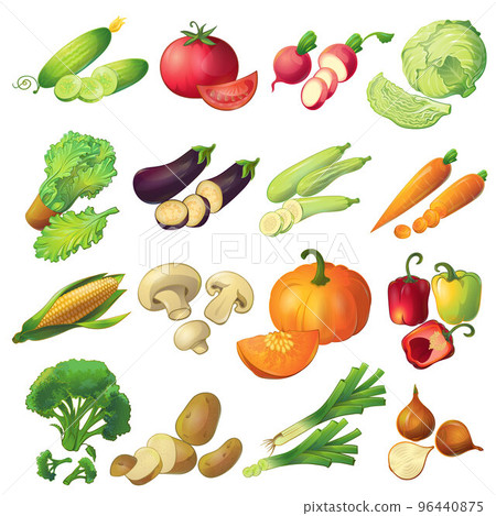 Fresh Vegetables Icon Set 96440875