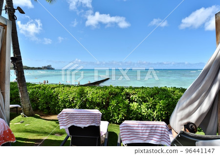 夏威夷的假期 夏威夷的假期 96441147