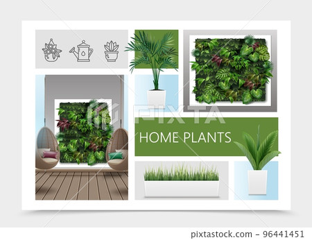 Realistic Home Plants Composition Realistic Home Plants Composition 96441451