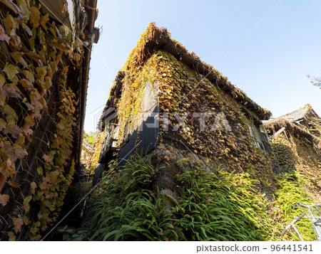 被植物覆蓋的街角風景 96441541