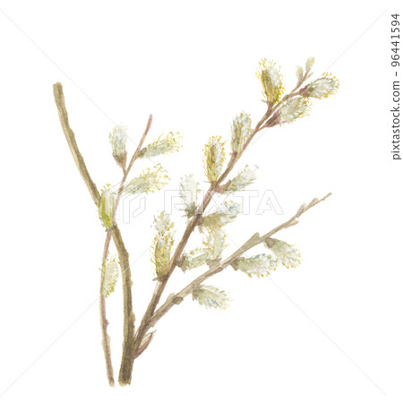 Nekoyanagi Nekoyanagi 96441594