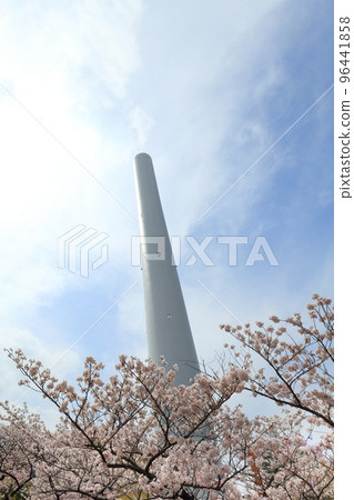 焚燒廠和櫻花 焚燒廠和櫻花 96441858