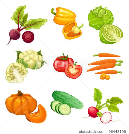 Cartoon Organic Vegetables Set Cartoon Organic Vegetables Set 96442196