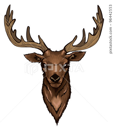 Wild Deer Head Portrait 96442553