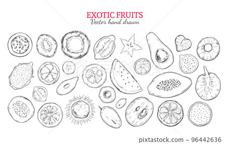 Exotic Fruits And Tropical Berries Set Exotic Fruits And Tropical Berries Set 96442636