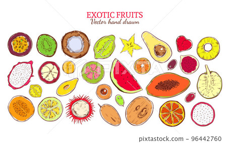 Colored Sketch Natural Exotic Products Collection Colored Sketch Natural Exotic Products Collection 96442760