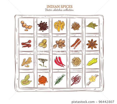 Colored Sketch Indian Spices Set Colored Sketch Indian Spices Set 96442807