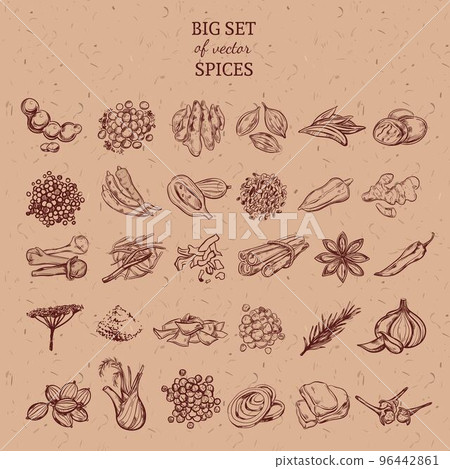Natural Spices And Herbs Collection Natural Spices And Herbs Collection 96442861