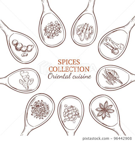 Sketch Spices And Herbs Round Concept 96442908