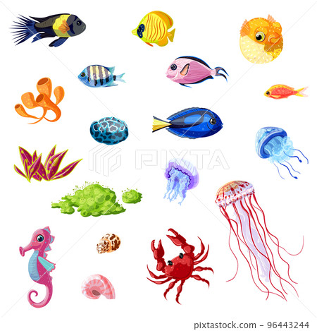 Cartoon Colorful Sea Life Set 96443244
