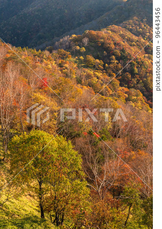 《Tochigi Prefecture》A view of Mt. 96443456