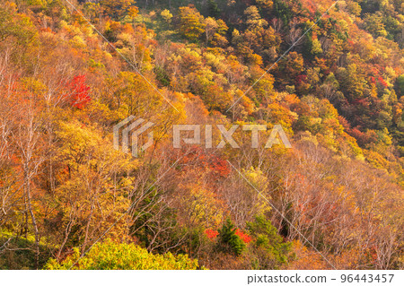 《Tochigi Prefecture》A view of Mt. 96443457