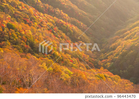 《栃木縣》山景 《栃木縣》山景 96443470