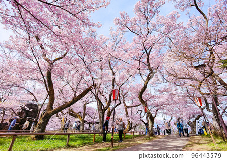 Takato Castle Ruins Park (Spring) Takato Castle Ruins Park (Spring) 96443579