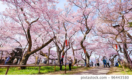 高遠城址公園(春季) 高遠城址公園(春季) 96443580