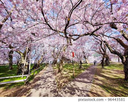 Takato Castle Ruins Park (Spring) Takato Castle Ruins Park (Spring) 96443581