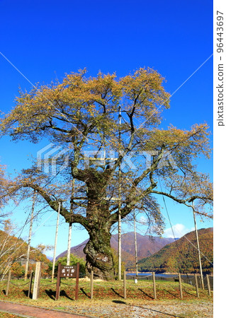 Autumn scenery of Shogawa River 96443697