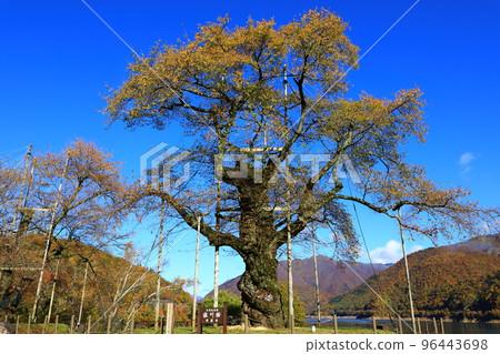 Autumn scenery of Shogawa River 96443698