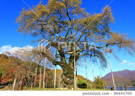 Autumn scenery of Shogawa River 96443700