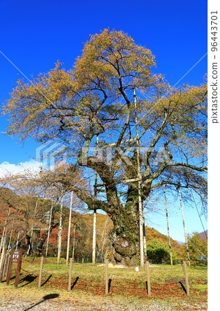 Autumn scenery of Shogawa River 96443701