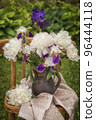 Bouquet of bearded irises and white peonies on a chair. 96444118