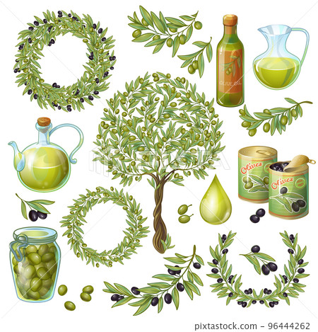 Olive Organic Elements Set Olive Organic Elements Set 96444262