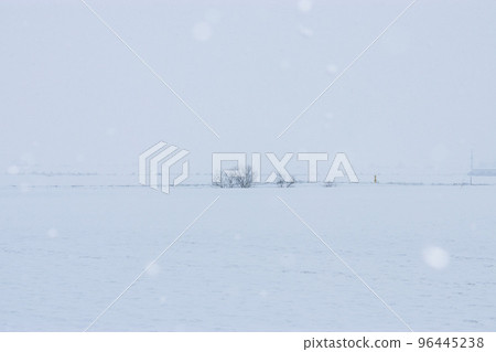 Snow falling in the countryside 96445238