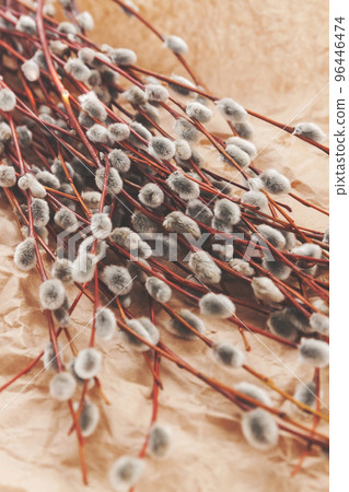 A bouquet of willow seals lies on old kraft paper, in retro style 96446474