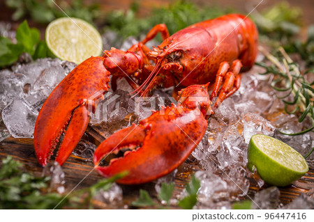 Lobster Lobster 96447416