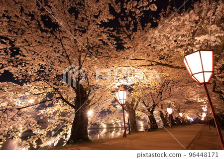 Yozakura Tunnel Yozakura Tunnel 96448171