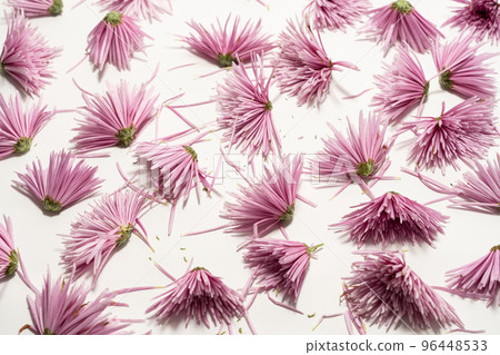 Edible chrysanthemum (other than that) 96448533