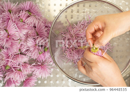 Remove the stalk from the base of the edible chrysanthemum Remove the stalk from the base of the edible chrysanthemum 96448535