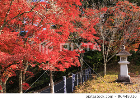 Yoshino Shrine with autumn leaves Yoshino Shrine with autumn leaves 96449316