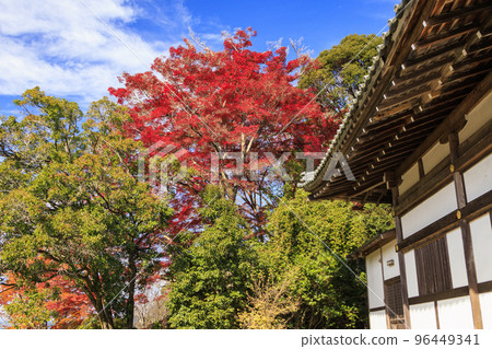 Yoshino Shrine with autumn leaves Yoshino Shrine with autumn leaves 96449341