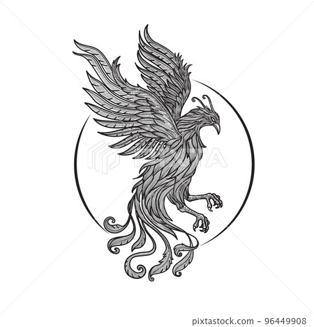 hand drawn Phoenix Fire bird illustration hand drawn Phoenix Fire bird illustration 96449908