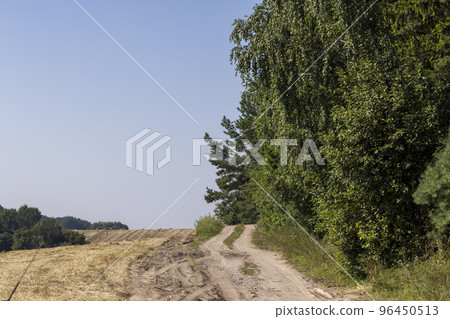 Unpaved road for cars with grass and trees Unpaved road for cars with grass and trees 96450513