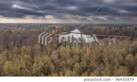 Polish part of Bialowieza Forest to south from Hajnowka  96450979