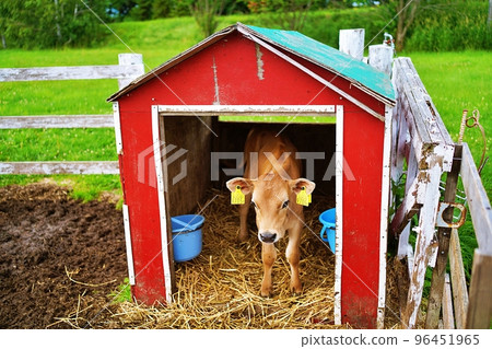 Farms Chiyoda Fureai Ranch (Biei-cho, Hokkaido) 96451965
