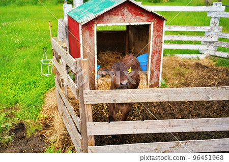 Farms 千代田親近牧場（北海道美瑛町） 96451968