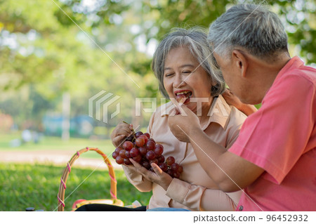 Happy old elderly couple spouses relaxing and sitting on a blanket in the park and sharing few precious memories. Senior couple having great time together on a picnic. concept of mature relationships 96452932