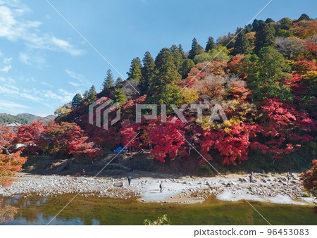 Natural scenery of autumn leaves in Korankei (Toyota City, Aichi Prefecture, autumn maple) Natural scenery of autumn leaves in Korankei (Toyota City, Aichi Prefecture, autumn maple) 96453083