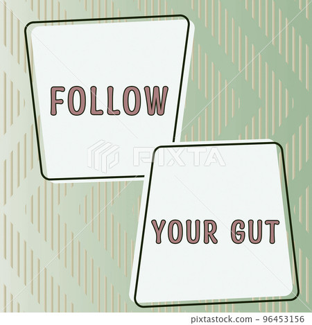 Hand writing sign Follow Your Gut. Business showcase Listen to intuition feelings emotions conscious perception Hand writing sign Follow Your Gut. Business showcase Listen to intuition feelings emotions conscious perception 96453156