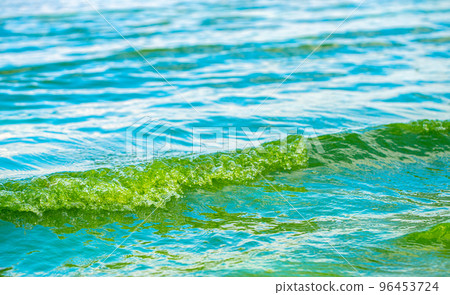 sandy shore and water closeup 96453724