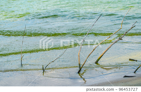 water and sandy shore with tree roots 96453727