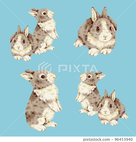 cute hand drawn rabbit, 96453940