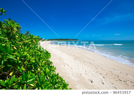 beach and tropical sea beach and tropical sea 96453957