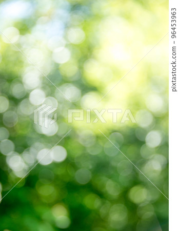 Natural green a blurred background Natural green a blurred background 96453963
