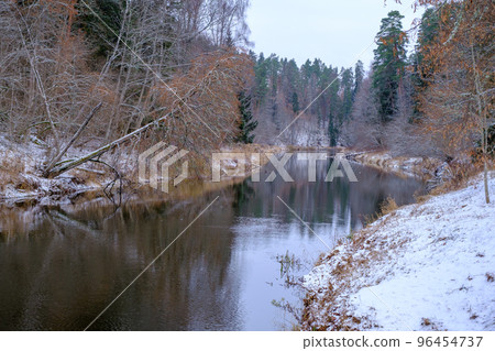 The river Salaca is meandered by high sandstone cliffs. Skanaiskalns nature park. November is the first snow in Mazsalaca in Latvia. The river Salaca is meandered by high sandstone cliffs. Skanaiskalns nature park. November is the first snow in Mazsalaca in Latvia. 96454737